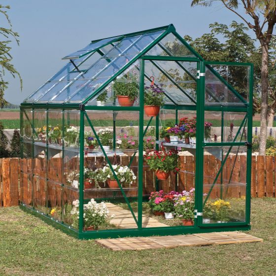 6'x8' (1.8 x 2.4m) Palram Harmony Green Greenhouse - Clear Polycarbonate and Aluminum
