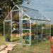 6'x8' (1.8 x 2.4m) Palram Harmony Silver Greenhouse - Clear Polycarbonate and Aluminum