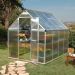 6'x8' (1.8 x 2.4m) Palram Mythos Silver Greenhouse - Twinwall Polycarbonate and Aluminum
