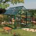 6'x10' (1.8 x 3m) Palram Harmony Green Greenhouse - Clear Polycarbonate and Aluminum