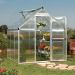 6'x6' (1.8 x 1.8m) Palram Mythos Silver Greenhouse - Twinwall Polycarbonate and Aluminum
