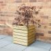 Forest Linear Square Wooden Garden Planter 1'x1'