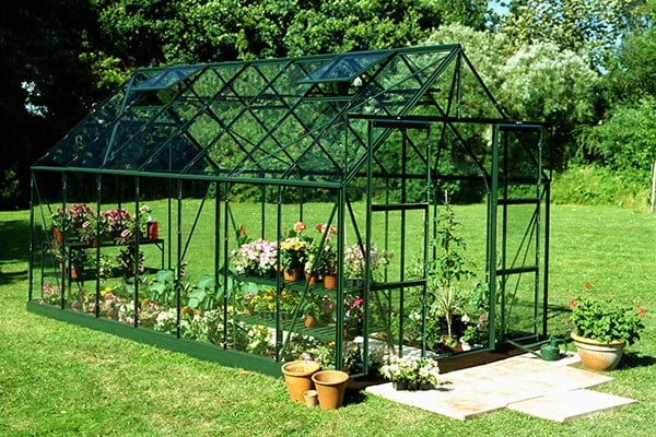 a green-framed greenhouse full of plants