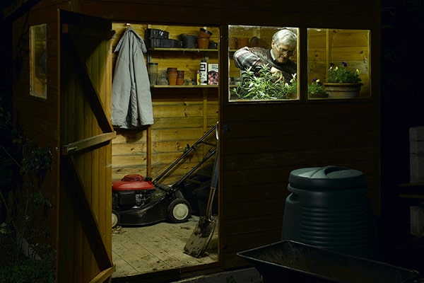a view into a solar powered lighted shed of a man tending his plants