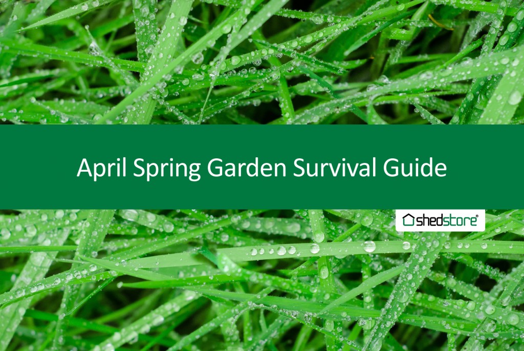 Spring Garden Guide: April Tasks