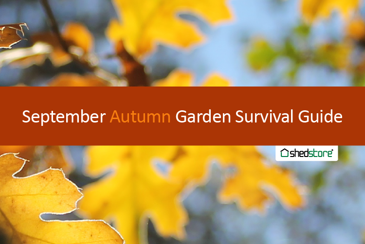 Autumn Garden Guide: September Tasks