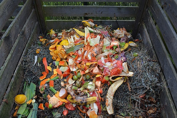 Creating Compost