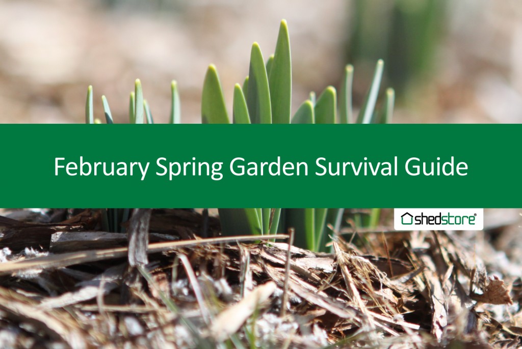 Spring Garden Guide: February Tasks
