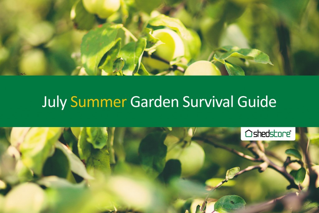 Summer Garden Guide: July Tasks