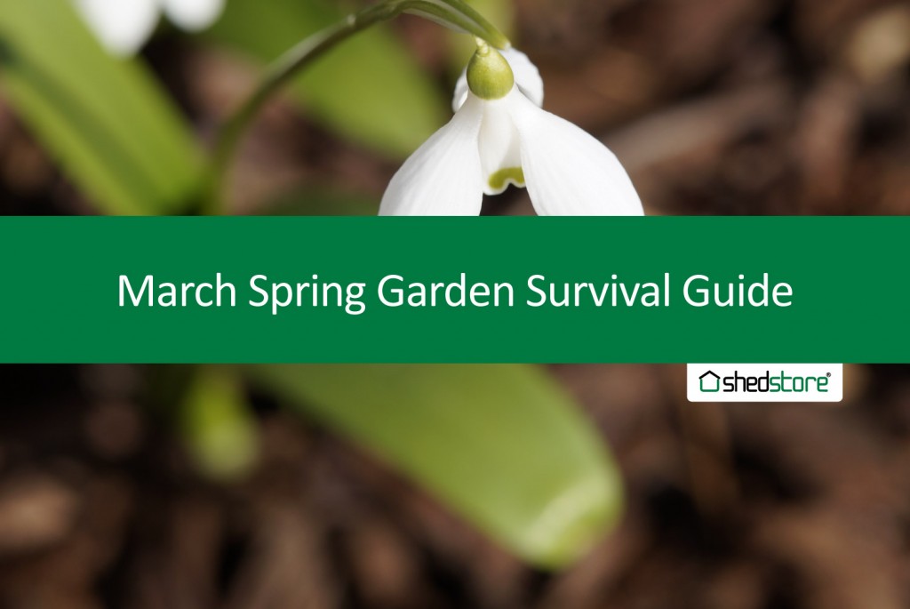 Spring Garden Guide: March Tasks