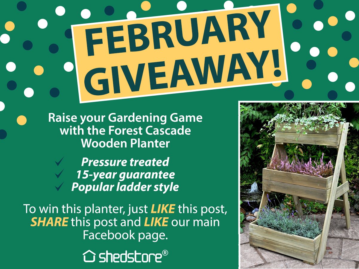 Forest Cascade planter giveaway 
