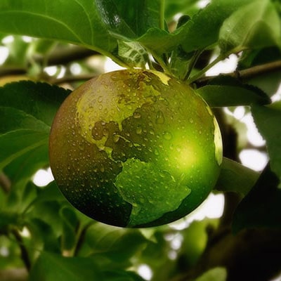 eco world as a fruit