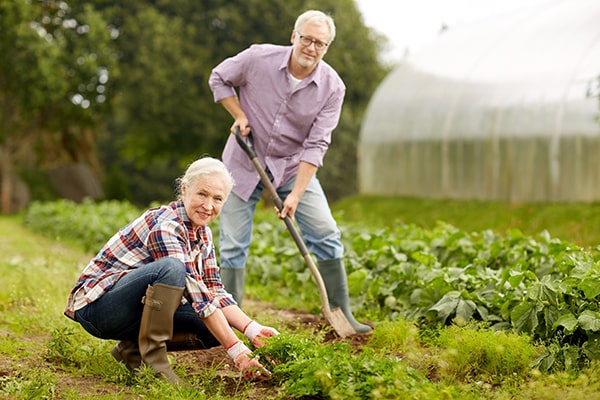 mature couple smiling while gardening on an allotment
