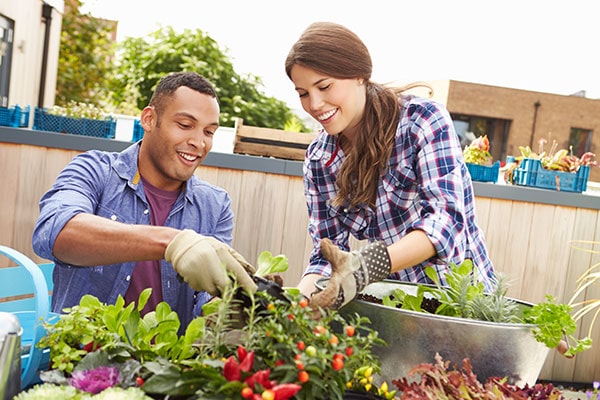 young couple smiling while planting up a planter