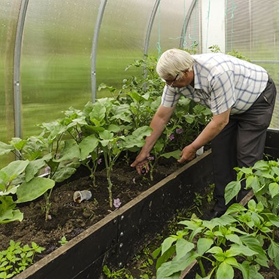 a man planting crops in a greenhouse