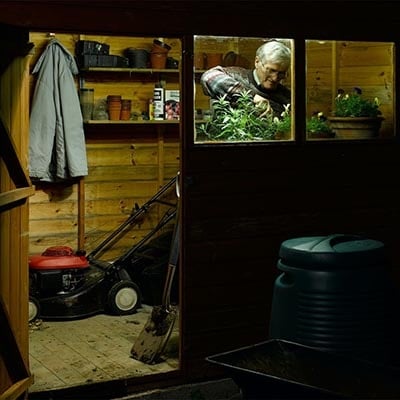 view through the window and door of a shed at night with lights on and a man watering plants by the window. Tools also visible