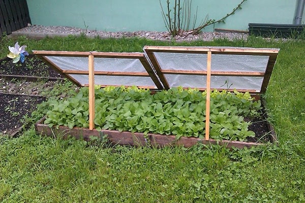 a cold frame with the lids propped open