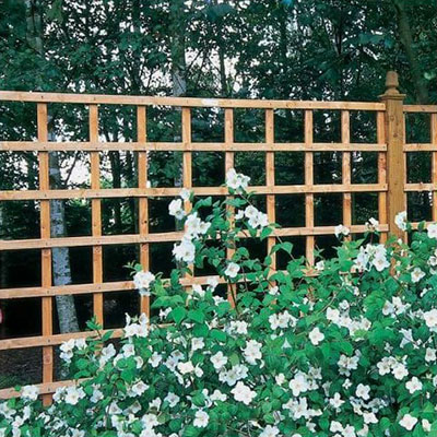 6x6 heavy-duty garden trellis panels