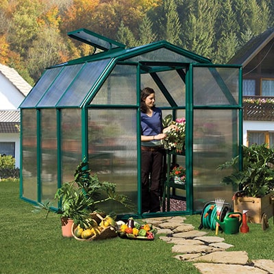 6'x6' Palram Canopia Rion EcoGrow Small Green Polycarbonate Greenhouse