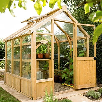 an 8x6 wooden greenhouse with an open door and vent