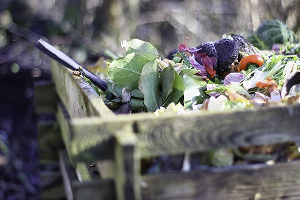 waste in a wooden compost bin