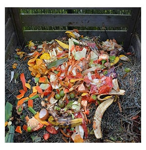 a compost bin full of garden waste