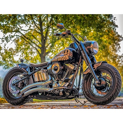 a Harley Davidson motorbike