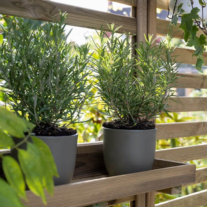 Close-Up of Forest Slatted Tall Wall Planter that shows a potted plant on a wooden shelf - Click HERE to View Product