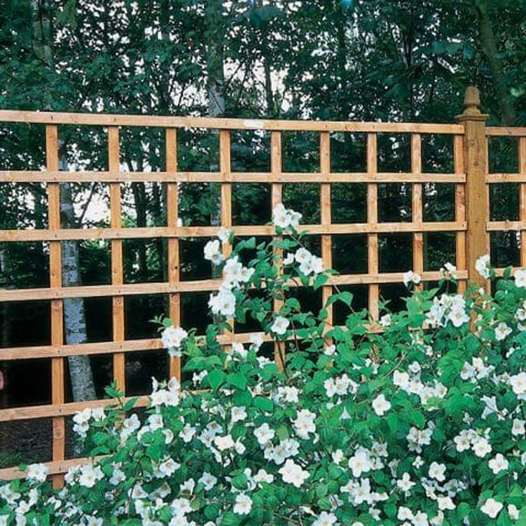 Forest Square Trellis Fence Panel - Click HERE to Purchase