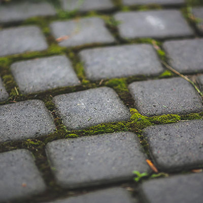Moss covered cobblestones