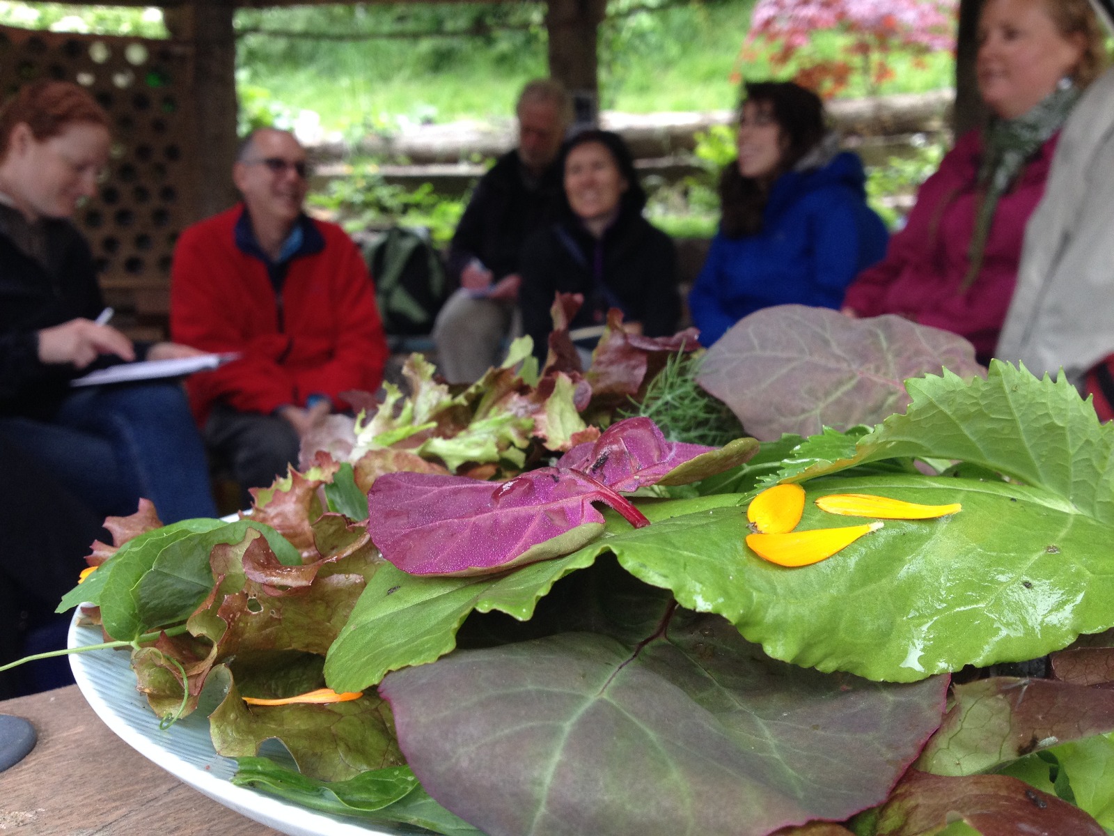 Plate of leafy vegatables with group of people in background
