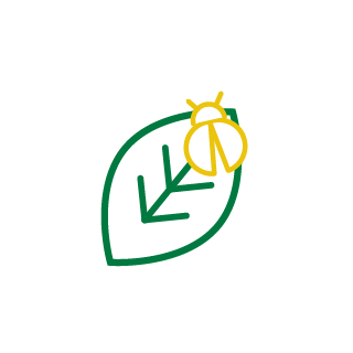 pest on leaf icon
