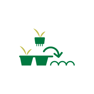 Plant out summer bedding icon