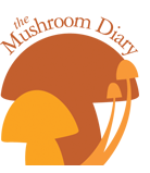 the mushroom diary logo