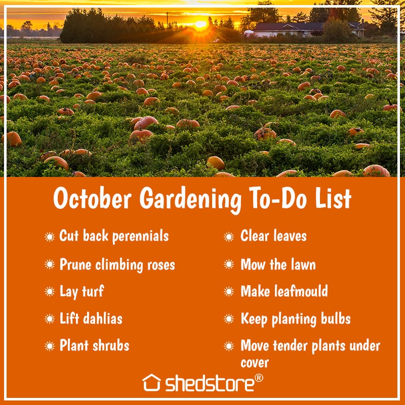 Garden To Do List for October