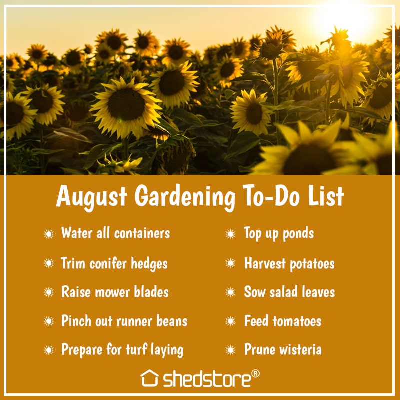 Garden To Do List for August