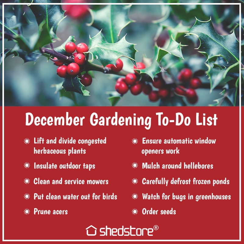 Garden To Do List for December