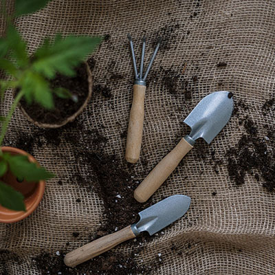 2 small trowels, a small garden fork and 2 plants in pots