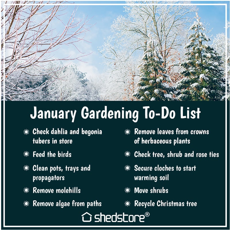 Shedstore Gardening To-Do List January