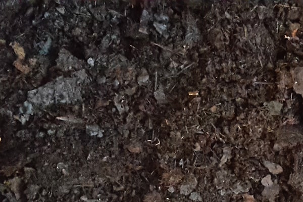 close up of leafmould