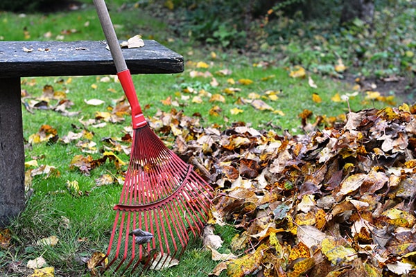 autumn leaves with a rake and bench