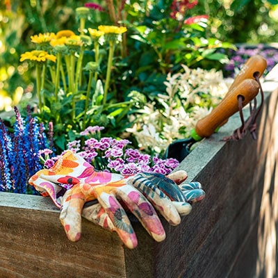 A wooden container with plants inside and gardening tools and gloves on the side