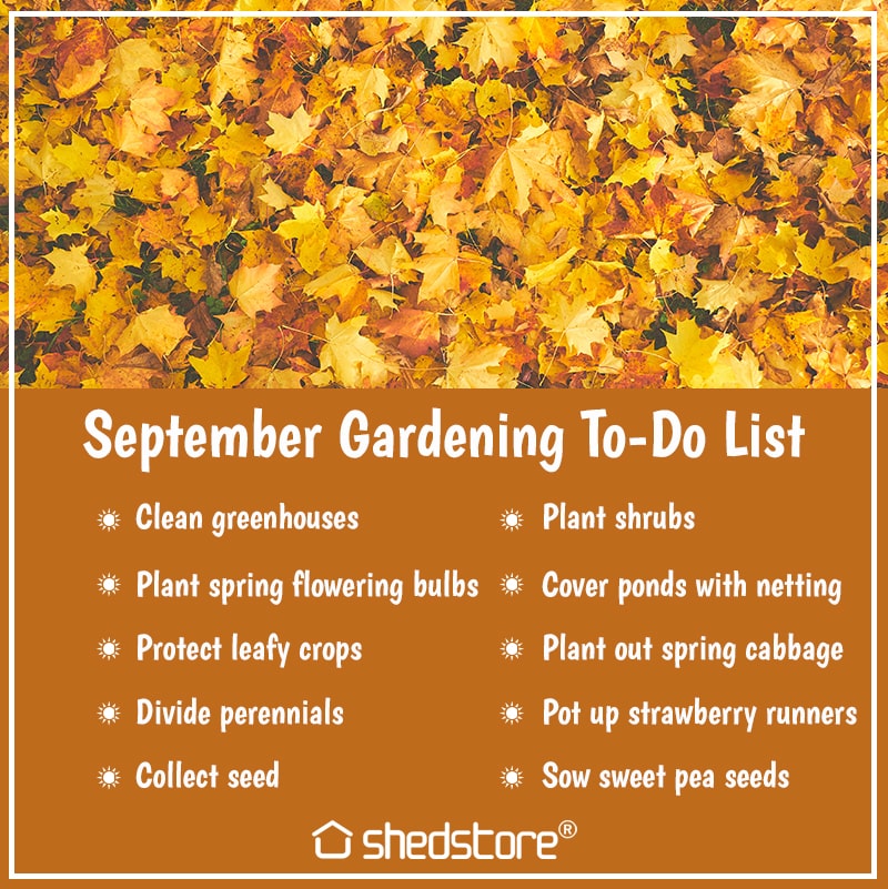 Garden To Do List for September
