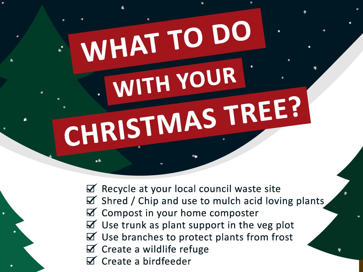 list of ideas for recycling a Christmas Tree